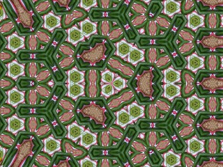 Digitally Created Pattern with Kaleidoscope Effect In Green and Brown Color