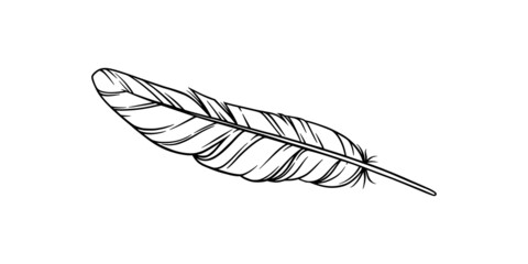 Bird feather for a dreamcatcher. Sketch feather illustration for a tattoo design. Vector illustration isolated in white background