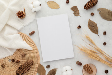 Autumn composition, dried leaves. cotton flowers and pine cones on white background. Flat lay, top view with copy space