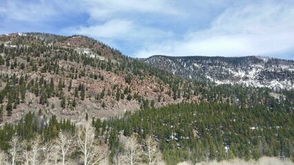 Mountainside with trees