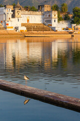 The Oasis of Pushkar in the State of Rajasthan, India