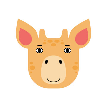 Giraffe head illustration