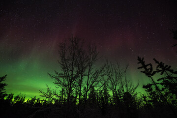 The Northern Lights (Aurora Borealis) in northern Canada