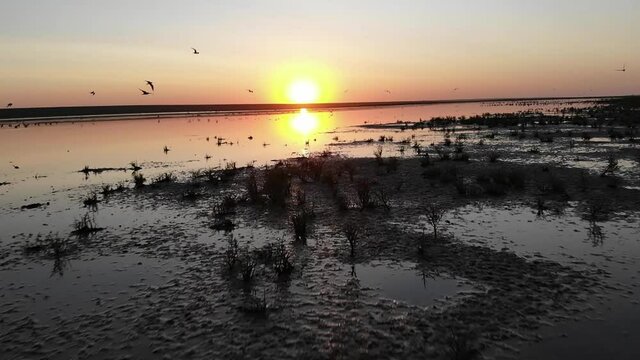 Kalmykia, nature reserve. Waterfowl fly at sunset.