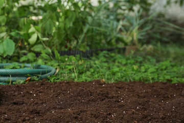 Hose and soil in garden, space for text