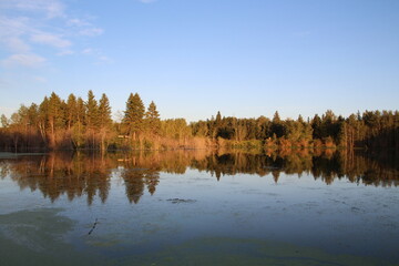 Evening In The Bay, Elk Island National Park, Alberta