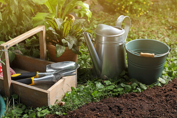 Beautiful plant and gardening tools on soil at backyard