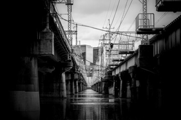 Fototapeta na wymiar 淀川の川辺の鉄橋