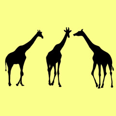 Shapes of giraffe silhouettes on white background vector illustrations isolated on yellow background