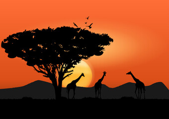 Fototapeta na wymiar graphics image giraffe at the forest and tree with sunset and light orange silhouette background vector illustration