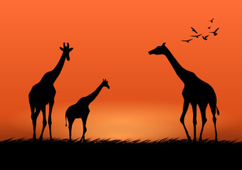 Fototapeta na wymiar graphics image giraffe at the forest with twilight silhouette background vector illustration