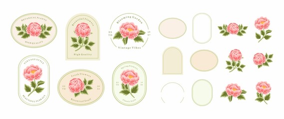 Vintage Hand Drawn Peach Peony Flower Logo Element Collection