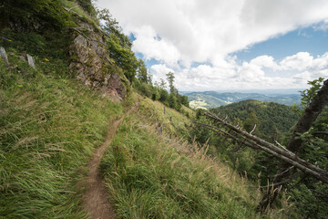 landscape in southern germany on the belchen, the belchen is a 1414m high mountain. and a beautiful viewpoint in the region.

