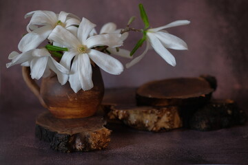 Fototapeta na wymiar White magnolia in brown earthenware mug that stands on a wooden stand.