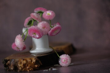 Pink daisies in a ceramic stack, which stands on a wooden stand