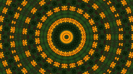 Kaleidoscopic Effect on Marigold Flower | Green and Orange Color Pattern in Circular Design