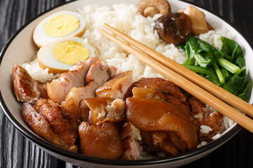 Pork leg stew on rice or kao ka moo is the quintessential Thai street food closeup in the bowl on the table. horizontal