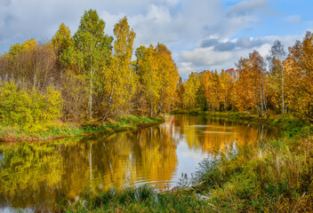 Golden autumn on the Slavyanka River in St. Petersburg. Different trees in a beautiful autumn decoration.