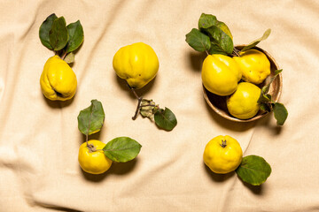 Organic quince apples in bowl and scattered