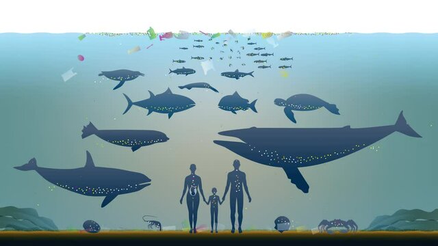 海洋汚染。プラスチックなどによる海の環境破壊と生物の危機