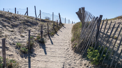 fence sea path way access Atlantic beach in sand dunes in Cap-Ferret ocean france