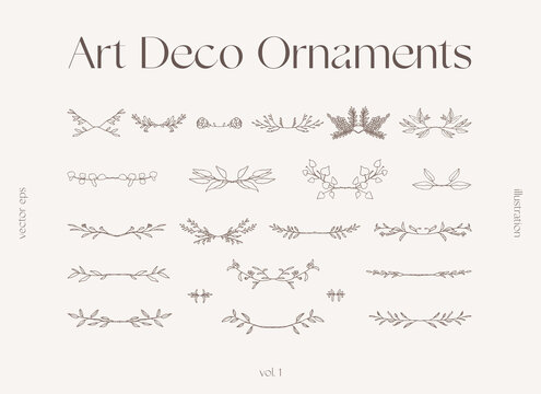 Set of floral elements decorative branches vector