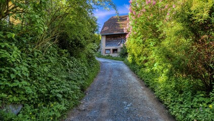 path to the farm house