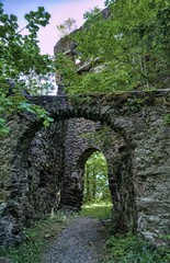 Fototapeta na wymiar ruins of the castle Frauenburg