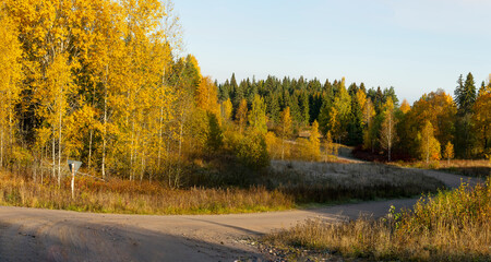 A sunny morning in Karelia.
