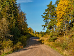 A sunny morning in Karelia.
