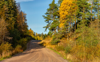 A sunny morning in Karelia.