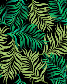 Tropic palm leaves pattern. Vector botanical illustration. Summer print.