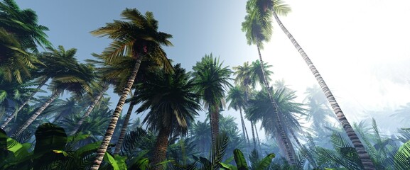 Palm trees in the jungle against the sky in the fog in the morning, bottom view, 3D rendering