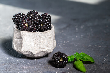 Ripe blackberries in a ceramic glass with a sprig of basil on a textured dark background. Copy space, close-up
