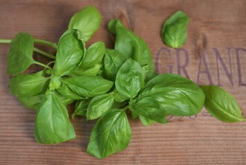 板の上に載せたフレッシュなバジルの葉、収穫したバジルの葉、家庭菜園