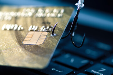 Internet fraud using computer technology, stealing money on the Internet, stealing credit card...