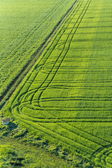 green crop fields with plough lines