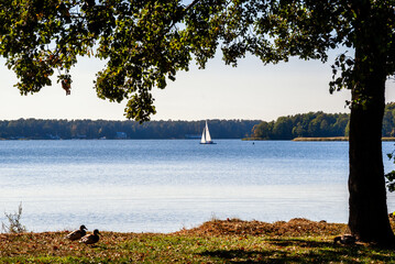 Jezioro Necko, Augustów, Podlasie, Polska © podlaski49