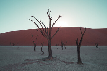 Sossusvlei, Namibia, a popular travel destination in Africa, with psychedelic and surreal landscapes. - obrazy, fototapety, plakaty