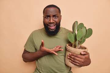 Puzzled dissatisfied bearded man raises palm looks indignant at camera holds potted cactus doesnt...