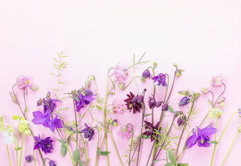 Naklejka premium Spring frame of small flowers, floral arrangement on pink backgrouns