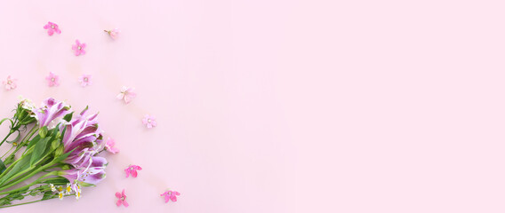 Top view image of pink and purple flowers composition over pastel background .Flat lay. Banner