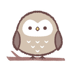 枝にとまるフクロウ
