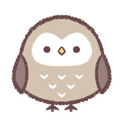 正面のフクロウ