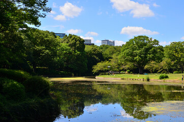 Fototapeta na wymiar 皇居にある北の丸公園