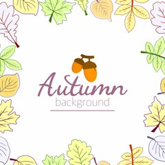 A frame made of autumn leaves. The leaves are oak, birch, aspen, maple. Autumn theme. Space for copying. Applicable for printing, posters, postcards, websites. Vector illustration.