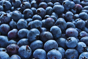 Ripe blueberries, full of vitamins.