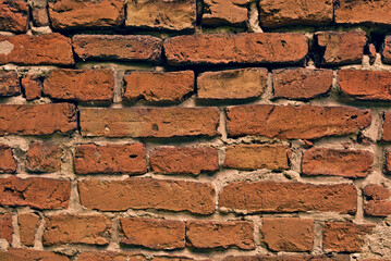 Bricks in an old wall.