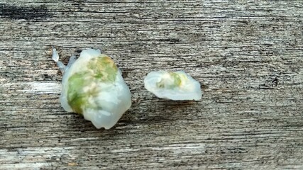two langsat seeds lying on the floor