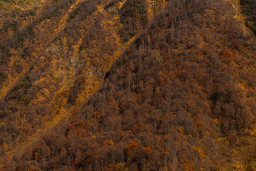 background, texture of Mount Shkhara, Georgia